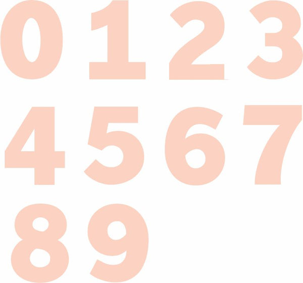 Number Cookie Cake Acrylic Guide Template